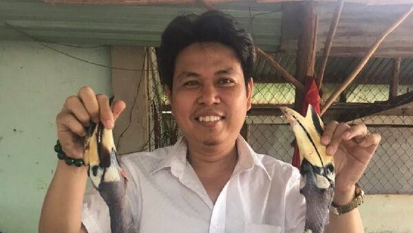 Vị giám đốc và chim quý - Sputnik Việt Nam
