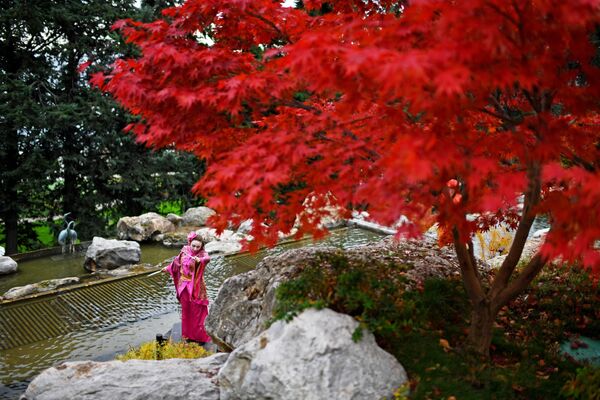 Nghệ sĩ tại lễ khai trương Vườn Nhật Bản trên lãnh thổ công viên Aivazovsky ở Crưm - Sputnik Việt Nam