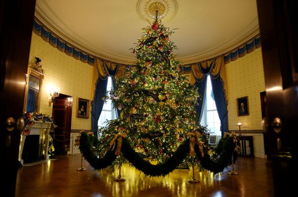 Cây Giáng sinh chính thức trong Phòng Xanh của Nhà Trắng, Washington - Sputnik Việt Nam