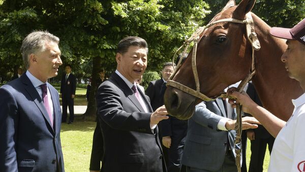 Argentina gửi ngựa polo tặng Trung Quốc - Sputnik Việt Nam