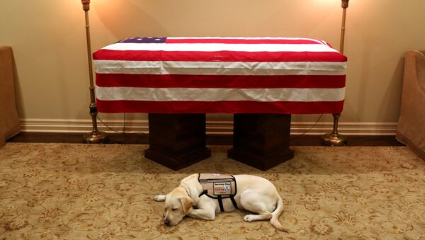 Con chó không rời linh cữu cựu tổng thống George Bush-cha “đốn tim” hàng triệu người - Sputnik Việt Nam