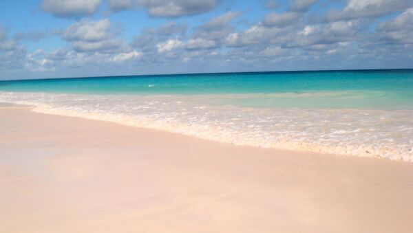 Bãi biển hồng trên Đảo Harbor, Bahamas - Sputnik Việt Nam