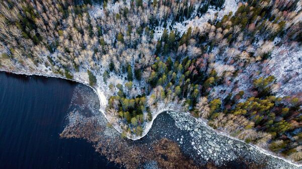 Bờ Hồ Onega ở Cộng hòa Karelia, Liên bang Nga - Sputnik Việt Nam