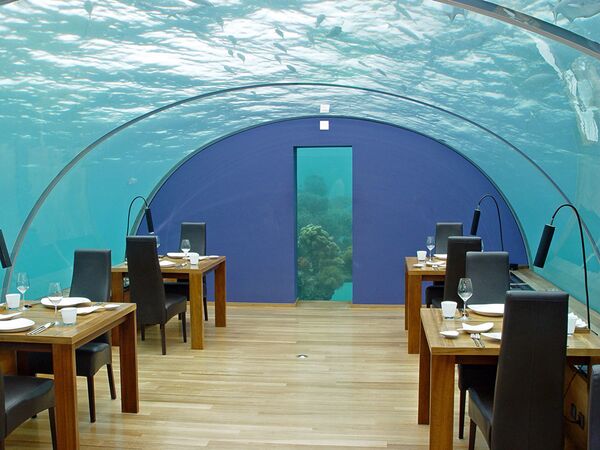 Nhà hàng Ithaa Undersea Restaurant ở Maldives. Phòng tiệc bố trí dưới mái vòm trong suốt ở độ sâu khoảng năm mét. - Sputnik Việt Nam