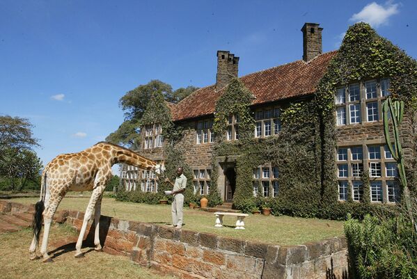 Khách sạn Giraffe Manor ở Kenya có nhà hàng độc nhất vô nhị, nơi bữa trưa được tổ chức giao lưu với bầy hươu cao cổ. - Sputnik Việt Nam