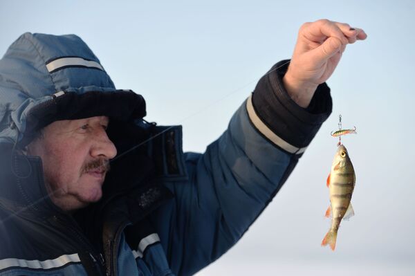 Ngư dân khoe cá bắt được trên hồ Tavatuy tỉnh Sverdlovsk - Sputnik Việt Nam