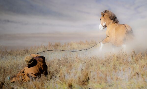 Người chăn cừu Mông Cổ với con ngựa - Sputnik Việt Nam