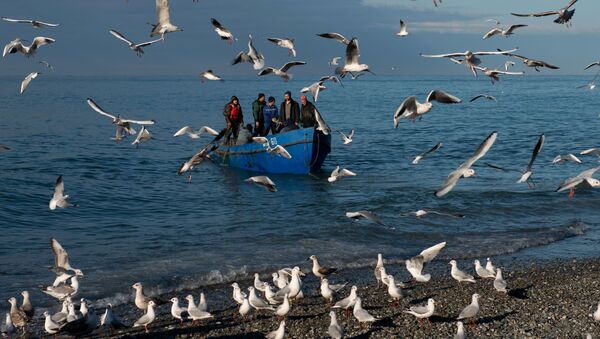 Рыбаки возвращаются после ловли рыбы в Черном море, Сочи - Sputnik Việt Nam