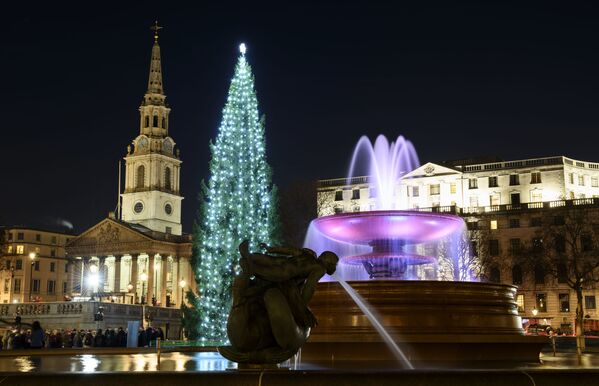 Cây thông Noel trên quảng trường Trafalgar ở London - Sputnik Việt Nam