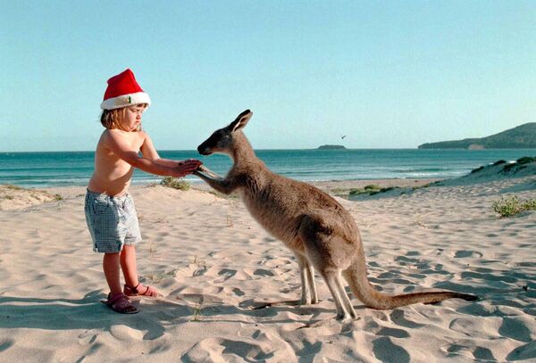 Bé gái với chuột túi trên bãi biển trước Giáng sinh ở Úc - Sputnik Việt Nam