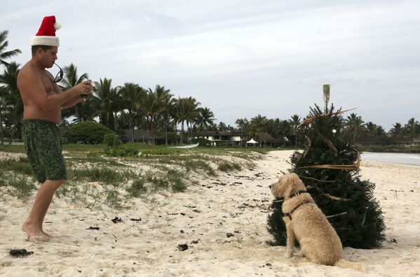 Người đàn ông chụp ảnh con chó cạnh  cây thông  Giáng sinh ở Hawaii - Sputnik Việt Nam