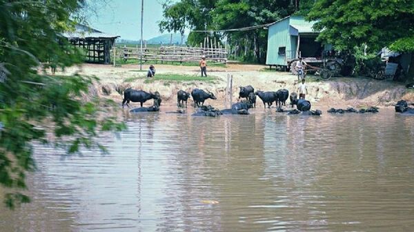Kênh Vĩnh Tế (huyện Giang Thành, Kiên Giang), nơi Khmer Đỏ nhiều lần đưa quân tràn sang biên giới Việt Nam. Kênh Vĩnh Tế (huyện Giang Thành, Kiên Giang), nơi Khmer Đỏ nhiều lần đưa quân tràn sang biên giới Việt Nam. - Sputnik Việt Nam