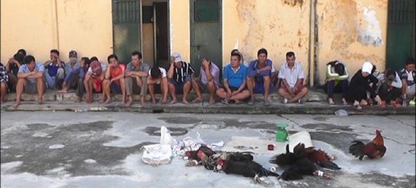 Công an huyện Phú Tân triệt xóa tụ điểm đá gà và bắt giữ 34 người. Điểm này được cho là do Trường tổ chức Công an huyện Phú Tân triệt xóa tụ điểm đá gà và bắt giữ 34 người. Điểm này được cho là do Trường tổ chức - Sputnik Việt Nam