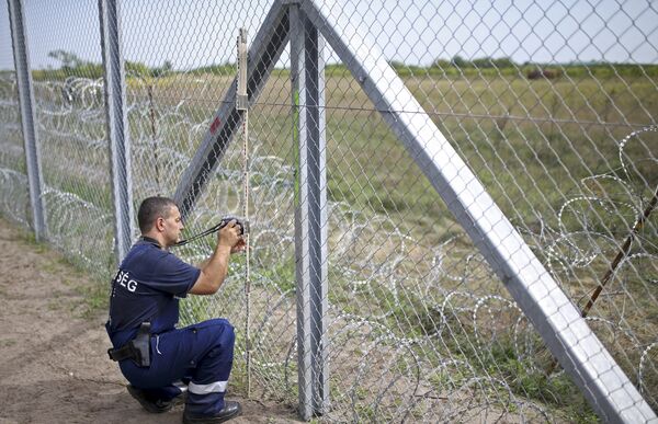 Cảnh sát tại khu vực biên giới Hungary-Serbia bị đóng cửa. - Sputnik Việt Nam