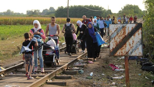 Người tị nạn trên biên giới Hungary-Serbia. - Sputnik Việt Nam