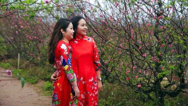 Người dân thích thú ngắm hoa đào nở sớm tại vườn hoa Nhật Tân, quận Tây Hồ. - Sputnik Việt Nam