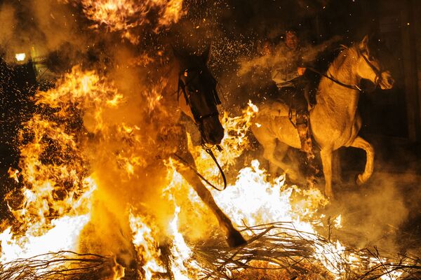 Những kỵ sĩ vượt qua ngọn lửa trong lễ hội Las Luminarias hàng năm tại làng San Bartolome de Pinares, Tây Ban Nha - Sputnik Việt Nam