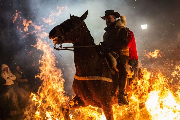 Kỵ sĩ cưỡi ngựa nhảy vọt qua ngọn lửa trong lễ hội Las Luminarias hàng năm ở làng San Bartolome de Pinares của Tây Ban Nha - Sputnik Việt Nam