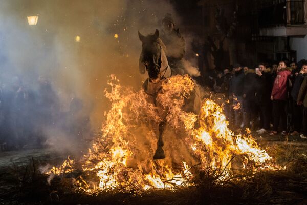 Kỵ sĩ cưỡi ngựa nhảy vọt qua ngọn lửa trong lễ hội Las Luminarias hàng năm ở làng San Bartolome de Pinares của Tây Ban Nha - Sputnik Việt Nam