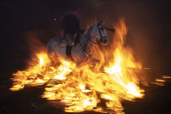 Ngựa trong lễ hội Las Luminarias hàng năm ở Tây Ban Nha - Sputnik Việt Nam