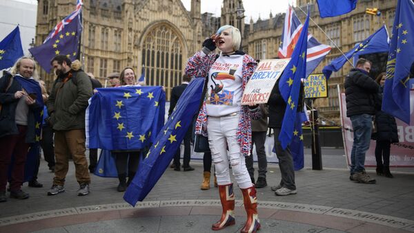 Những người tham gia cuộc biểu tình phản đối Brexit trước Quốc hội Anh, London - Sputnik Việt Nam