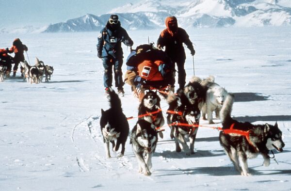 Những người tham gia cuộc thám hiểm xuyên Nam Cực quốc tế tại Nam Cực, 1990 - Sputnik Việt Nam