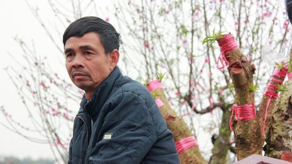 Khuôn mặt thất thần của Ông Nguyễn Văn Hào (50 tuổi) khi nhìn vườn đào chăm sóc nhiều năm bị phá hoại - Sputnik Việt Nam