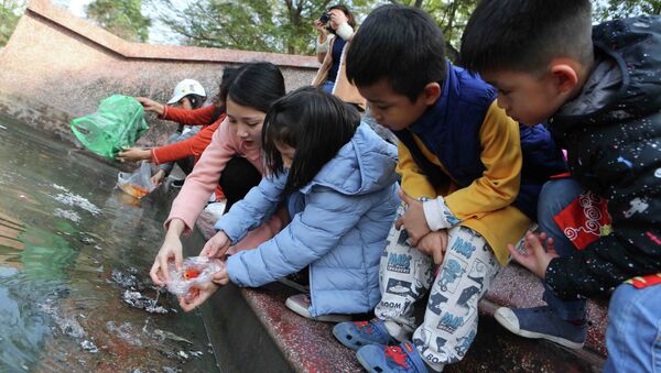 Cô giáo dạy các em học sinh thả cá chép đúng cách. - Sputnik Việt Nam
