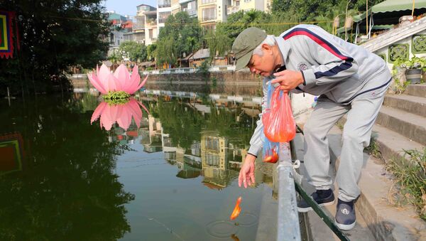 Người dân thủ đô thủ đô thả cá chép tại khu vực hồ Giám. - Sputnik Việt Nam