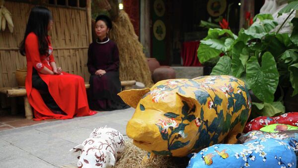 Chú lợn, linh vật biểu tượng của năm Kỷ Hợi tượng trưng cho cuộc sống no đủ, sung túc. - Sputnik Việt Nam