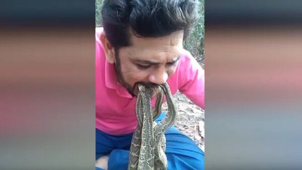 Nhà hoạt động sinh thái đưa bốn con rắn độc vào miệng để cứu rừng Amazon - Sputnik Việt Nam