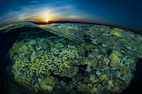 Hoàng hôn trong bối cảnh Vườn san hô Gordon Coral trong bức ảnh “Sunsplit”, giải 2 trong hạng mục “Cảnh rạn san hô” cuộc thi ảnh Ocean Art lần thứ 7 - Sputnik Việt Nam