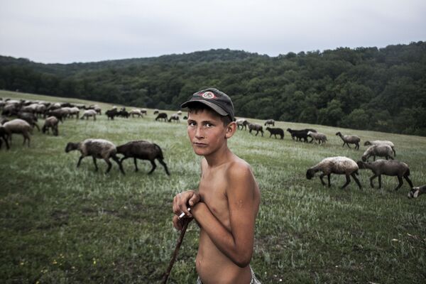 Ảnh Young Shepherd của nhiếp ảnh gia Moldova Ilya Bugaev, lọt vào shortlist Sony World Photography Awards 2019 ở hạng mục Giới trẻ - Sputnik Việt Nam