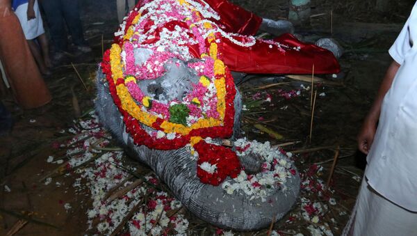 Ấn Độ: một trong những con voi già nhất thế giới qua đời - Sputnik Việt Nam