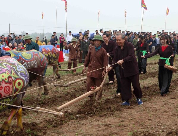 Phó Thủ tướng Thường trực Trương Hòa Bình thực hiện nghi thức xuống đồng, cày ruộng đầu năm trong lễ hội. - Sputnik Việt Nam
