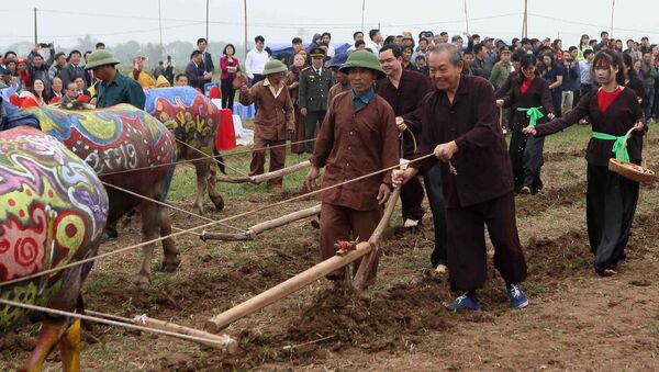 Phó Thủ tướng Thường trực Trương Hòa Bình thực hiện nghi thức xuống đồng, cày ruộng đầu năm trong lễ hội. - Sputnik Việt Nam