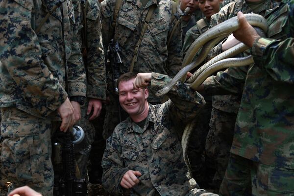 Thủy quân lục chiến Mỹ đang xử lý một con rắn hổ mang trong buổi huấn luyện sinh tồn rừng rậm - một phần cuộc tập trận quân sự Cobra Gold ở Thái Lan - Sputnik Việt Nam