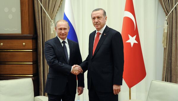 Recep Tayyip Erdogan tại cuộc hội đàm với Tổng thống Nga Vladimir Putin. - Sputnik Việt Nam