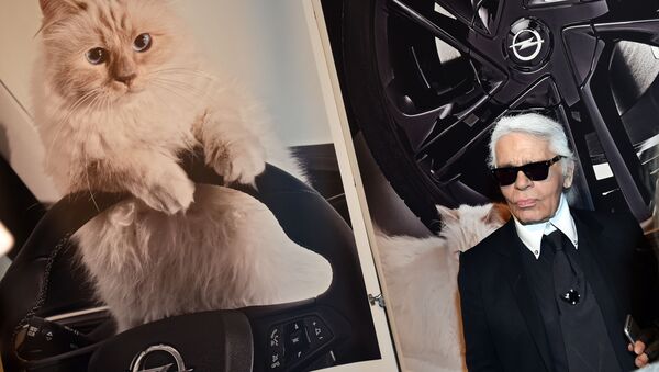 Сon mèo Choupette của nhà tạo mốt Lagerfeld - Sputnik Việt Nam