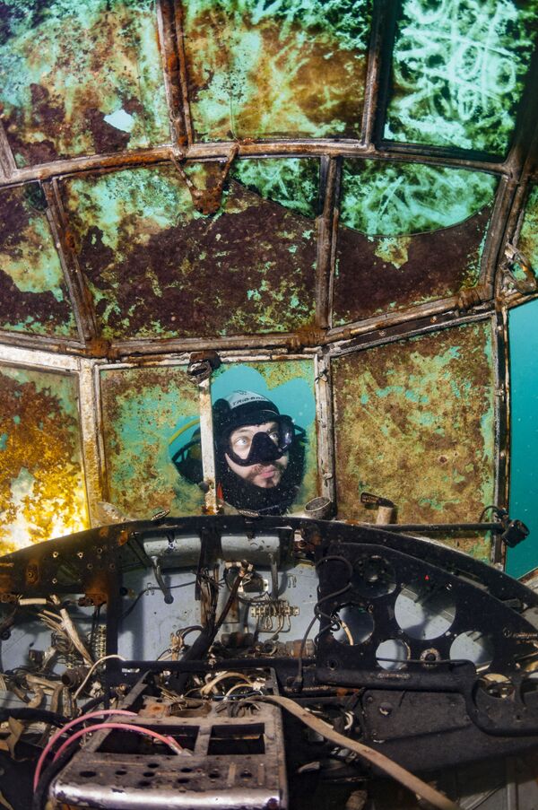 Ảnh Window cleaner's nightmare (Nỗi sợ hãi của người lau cửa sổ) của nhiếp ảnh gia Ba Lan Michal Bazala, được trao giải thưởng thưởng Highly Commended trong hạng mục Up & Come của cuộc thi Underwater Photographer of the Year 2019 - Sputnik Việt Nam