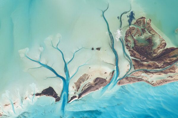 Quanh cảnh Long Island, đảo Bahamas nhìn từ không gian - Sputnik Việt Nam