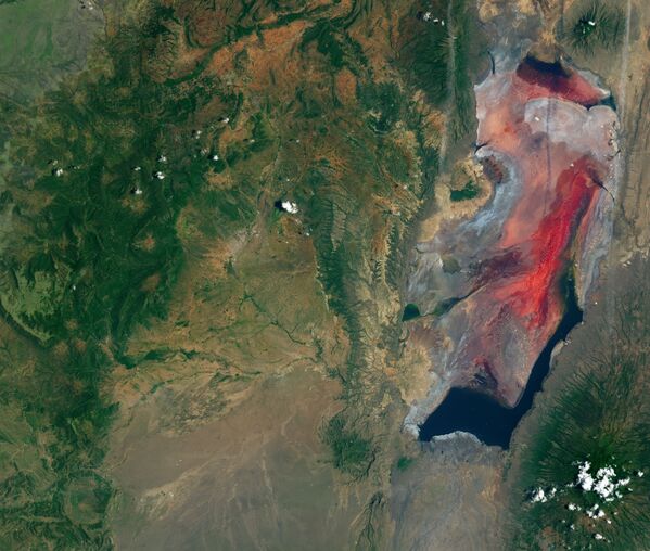 Hồ nước mặn và kiềm Natron ở Tanzania nhìn từ không gian - Sputnik Việt Nam