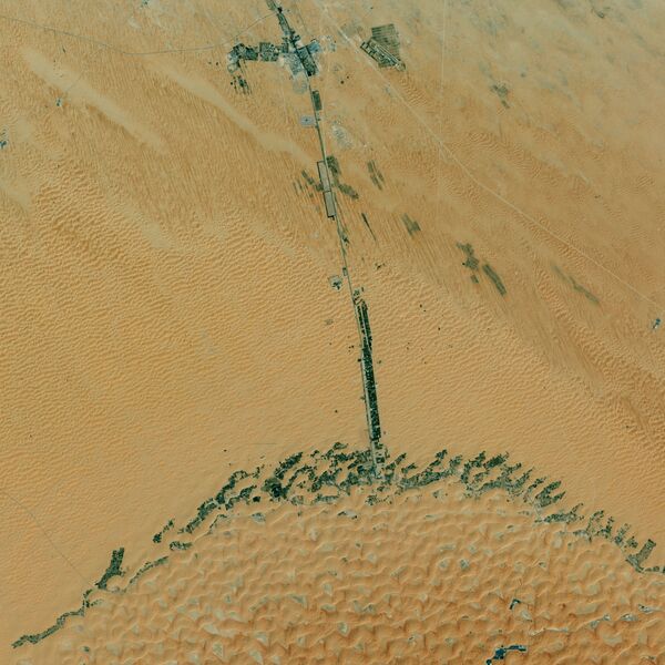 Ốc đảo Liwa ở UAE - Sputnik Việt Nam