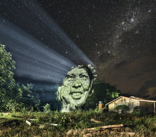 Hình ảnh chân dung ánh sáng trên cây ở Amazonia - Sputnik Việt Nam