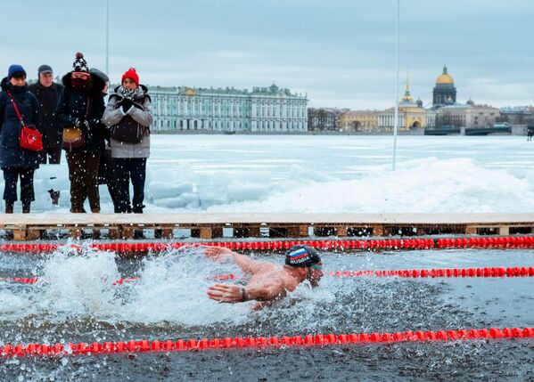 Người tham gia cuộc thi bơi mùa đông ở Saint-Peterburg - Sputnik Việt Nam