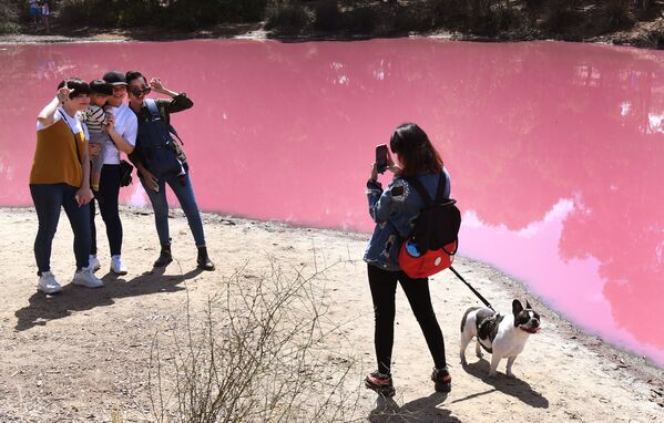 Mọi người chụp ảnh ở hồ nước với màu hồng rực rỡ do độ muối cao và thời tiết nóng bức ở Melbourne, Australia - Sputnik Việt Nam