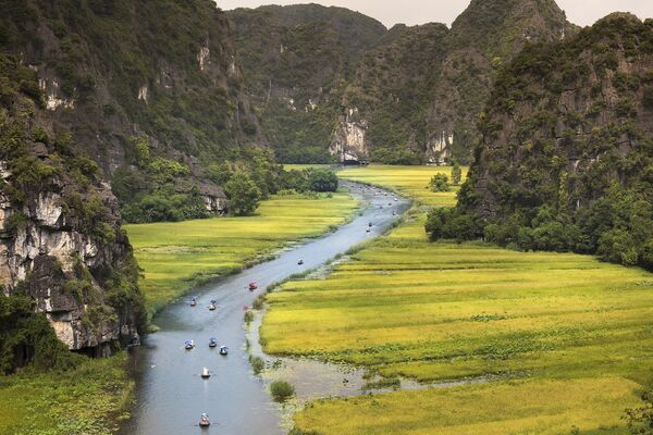 Sông Ngô Đồng ở Việt Nam - Sputnik Việt Nam