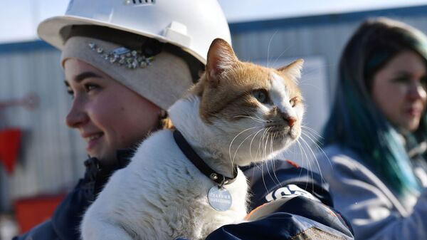 Con mèo tên là Mostik trên tay người công nhân xây dựng cây cầu Crưm - Sputnik Việt Nam