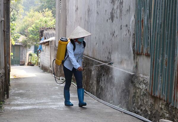 Chống dịch tả lợn Châu Phi ở Việt Nam: cả nước vào cuộc Chống dịch tả lợn Châu Phi ở Việt Nam: cả nước vào cuộc - Sputnik Việt Nam