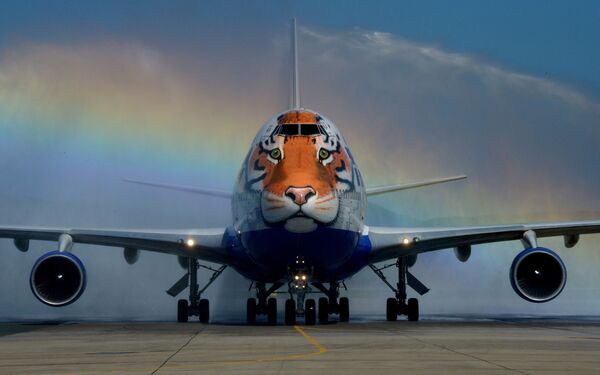Máy bay Boeing 747-400 của hãng hàng không Transaero  sơn màu lông hổ trong đề án Chuyến bay lông vằn. - Sputnik Việt Nam